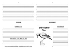 Star-Faltbuch-vierseitig.pdf